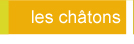 Les chatons