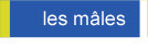 Les males